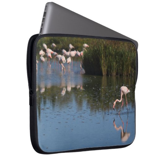Housse d'ordinateur flamants roses (Devant droit)