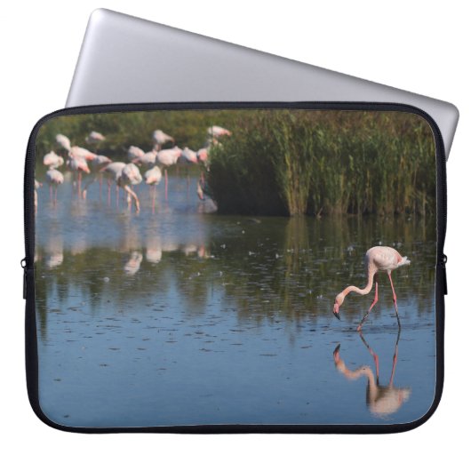 Housse d'ordinateur flamants roses (Devant)