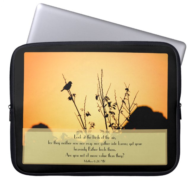 Housse d'ordinateur Les oiseaux de l'air (Devant)