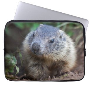 Housse d'ordinateur portable pour bébé marmotte cu