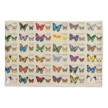 30 espèces de papillon de partout dans le monde