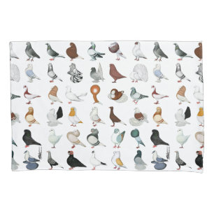 Housse D'oreillers 36 races de pigeon