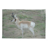 Housse D'oreillers A26 Pronghorn Antelope Buck (Dos)