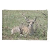 Housse D'oreillers A7 Bébé Antilope Pronghorn (Dos)