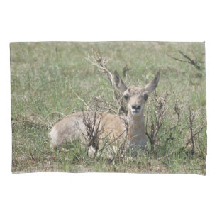 Housse D'oreillers A7 Bébé Antilope Pronghorn