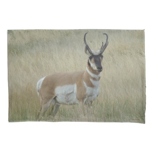 Housse D'oreillers A8 Pronghorn Antelope Big Buck (devant)