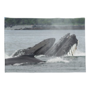 Housse D'oreillers Alimentation des baleines à bosse