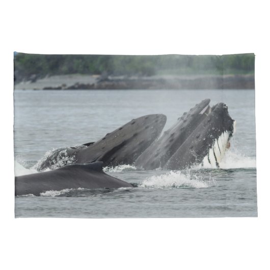 Housse D'oreillers Alimentation des baleines à bosse (Dos-Droit)