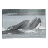 Housse D'oreillers Alimentation des baleines à bosse (devant-Droit)