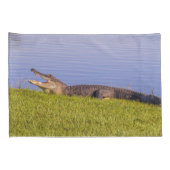 Housse D'oreillers Alligator américain (Dos-Droit)