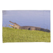 Housse D'oreillers Alligator américain (devant-Droit)