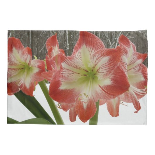 Housse D'oreillers Amaryllis en Fête Rouge Neige Hiver Floral (Dos)