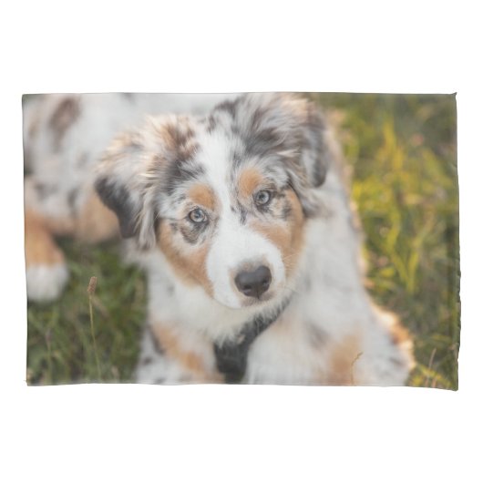 Housse D'oreillers Animaux de bébés cutest | Australian Shepherd Pupp (devant)