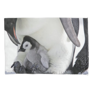 Housse D'oreillers Animaux de bébés cutest   Baby Empereur Penguin