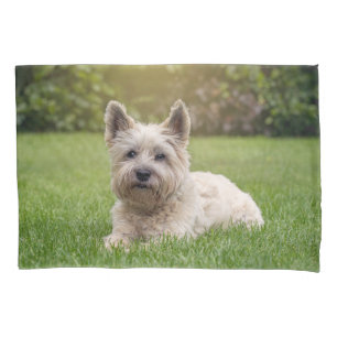 Housse D'oreillers Animaux de bébés cutest Cairn Terrier Dog