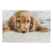 Housse D'oreillers Animaux de bébés cutest | Cocker Spaniel (Dos)