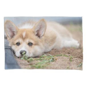 Housse D'oreillers Animaux de bébés cutest Corgi Laying in the Yard