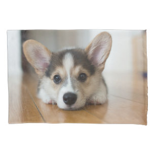 Housse D'oreillers Animaux de bébés cutest   Corgi Puppy