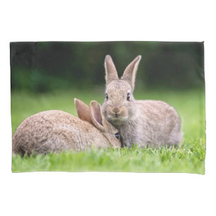 Housse D'oreillers Animaux de bébés cutest Lapins de lapin sauvage