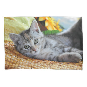 Housse D'oreillers Animaux de bébés cutest   Lounge Kitten