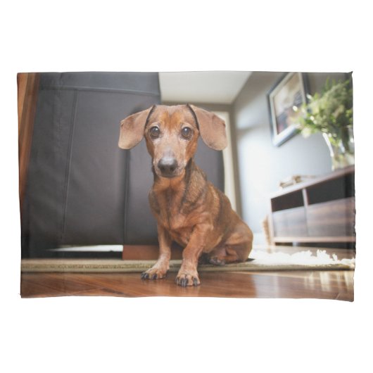 Housse D'oreillers Animaux de bébés cutest | Mini chiot (devant)