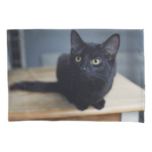 Housse D'oreillers Animaux de bébés cutest Portrait d'un chat noir