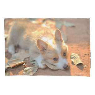 Housse D'oreillers Animaux de bébés cutest Shy Corgi
