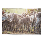 Housse D'oreillers Animaux de bébés cutest | Svalbard Reindeer (Dos)
