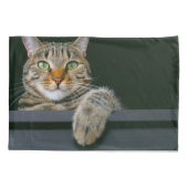 Housse D'oreillers Animaux de bébés cutest | Tête de chat gris Tabby (Dos)