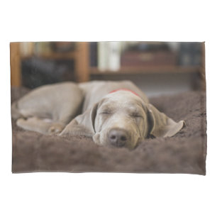 Housse D'oreillers Animaux de bébés cutest Weimaraner Puppy Sleepin