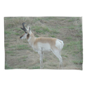 Housse D'oreillers Antilope d'Amérique mâle A26