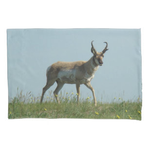 Housse D'oreillers Antilope Pronghorn A10 marchant à travers des fleu
