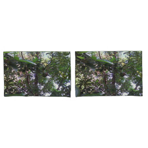 Housse D'oreillers Arbre d'avocat