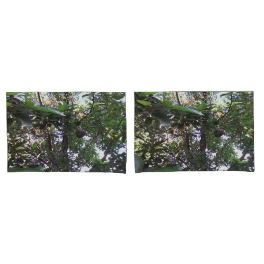 Housse D'oreillers Arbre d'avocat (devant-Set)