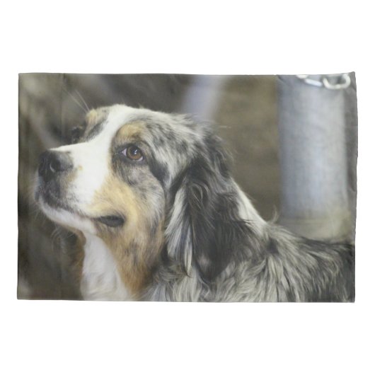 Housse D'oreillers Aussie (Dos)