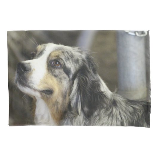 Housse D'oreillers Aussie (devant)