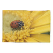 Housse D'oreillers Bague (Dos)