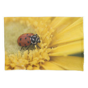 Housse D'oreillers Bague