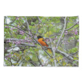 Housse D'oreillers Baltimore Oriole (Dos)
