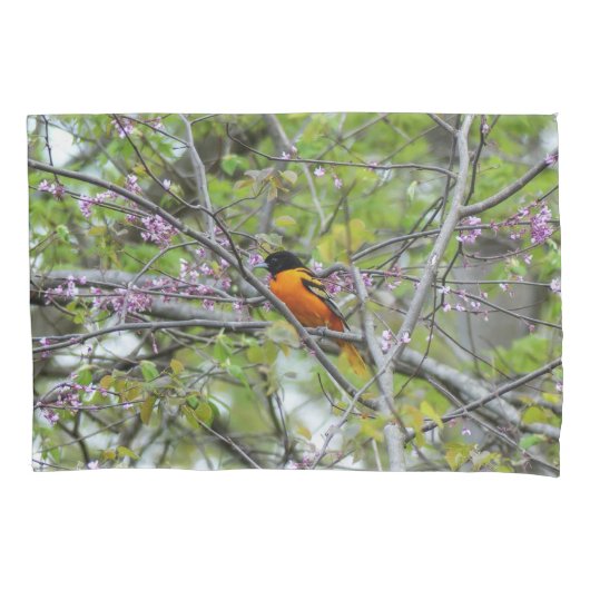 Housse D'oreillers Baltimore Oriole (devant)