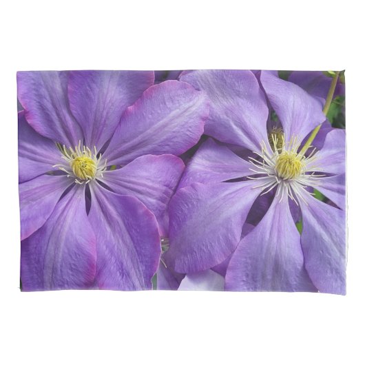 Housse D'oreillers beauté clematis violette (devant)