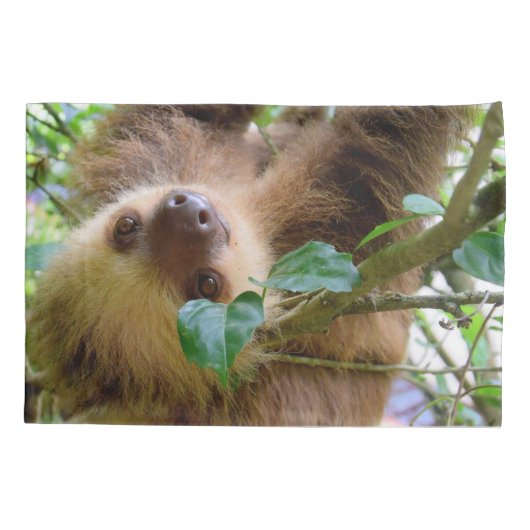Housse D'oreillers Bébé Sloth (Dos)