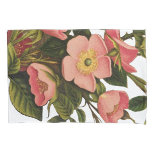 Housse D'oreillers Belle Botanique rose Rose vintage