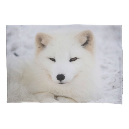 Housse D'oreillers Blanc mignon renard dans la neige vous regardant (devant)