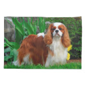 Housse D'oreillers Blenheim Cavalier King Charles Spaniel Chien Chien (Dos)