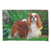 Housse D'oreillers Blenheim Cavalier King Charles Spaniel Chien Chien (devant)