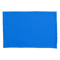 Bleu bleu marine brillant couleur uni