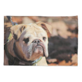 Housse D'oreillers Bulldog (Dos)
