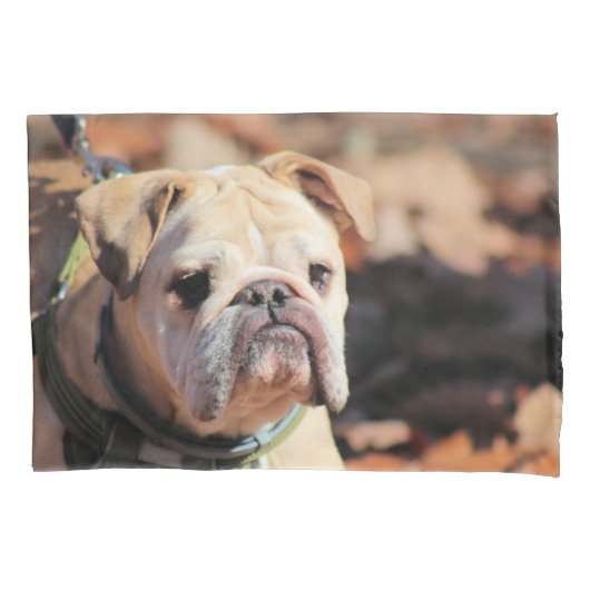 Housse D'oreillers Bulldog (devant)