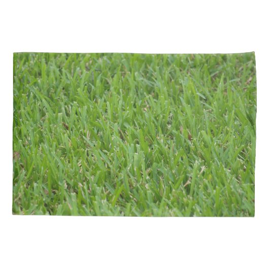 Housse D'oreillers Caisse faite sur commande de coussin (Dos)